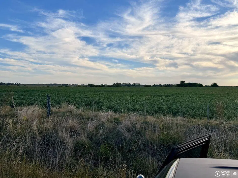 Campo en venta en Villa Ruiz 15 hectareas 3