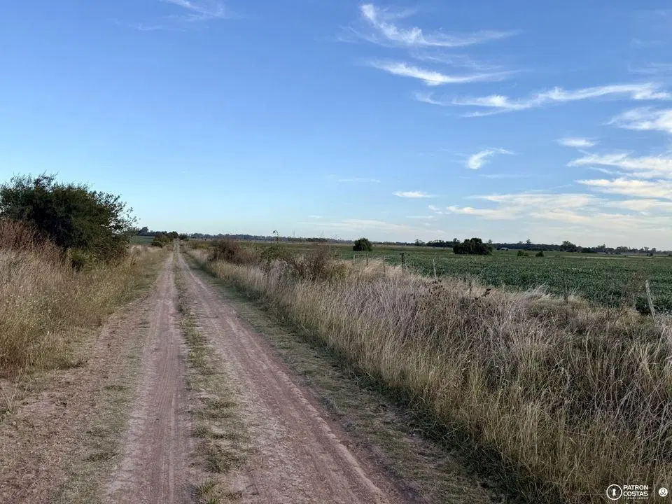 Campo en venta en Villa Ruiz 15 hectareas 4
