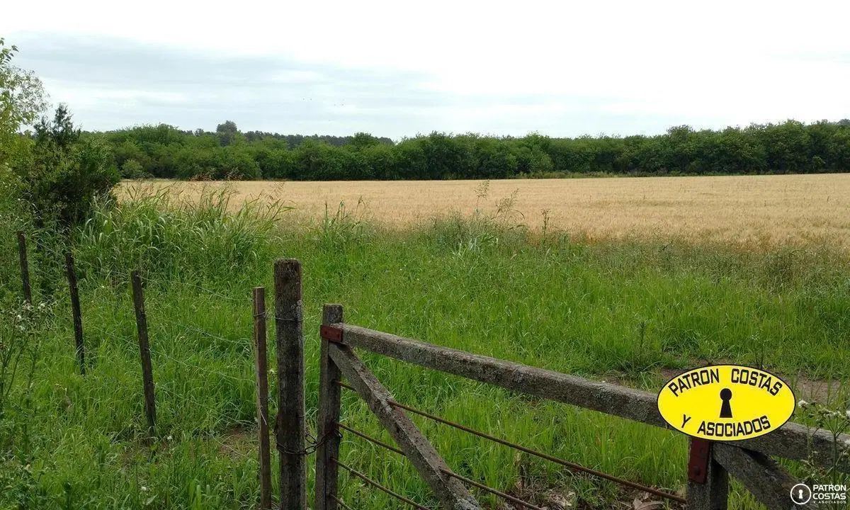 2.8  HAS  RUTA 6 OPENDOOR -AGRICOLA- TAMBIEN 6 HAS 4