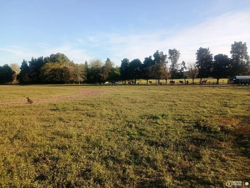 Campo en venta en Open Door Lujan 5