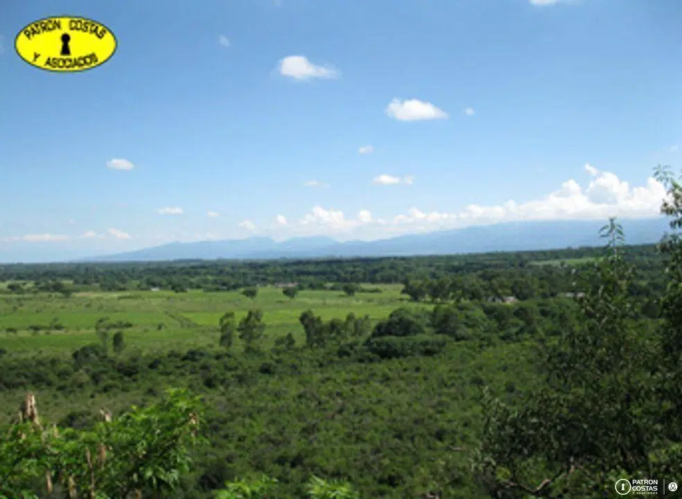Campo venta El Encon Salta 4