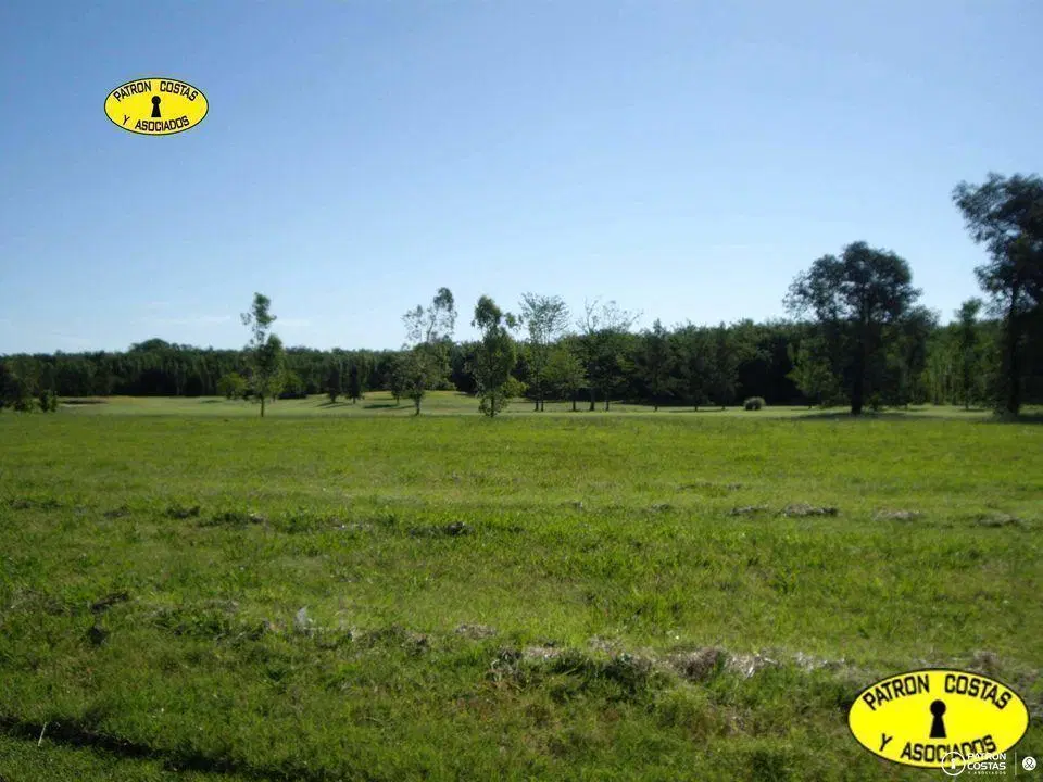 LA COLINA 5000 M2 2