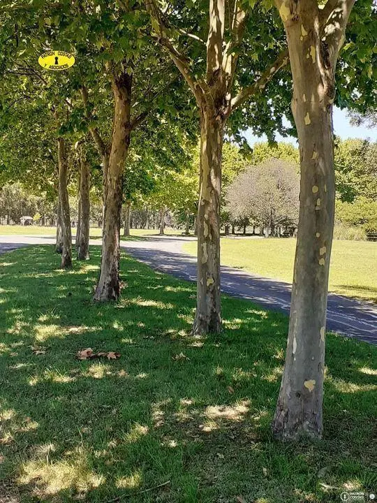 LA COLINA 5000 M2 5