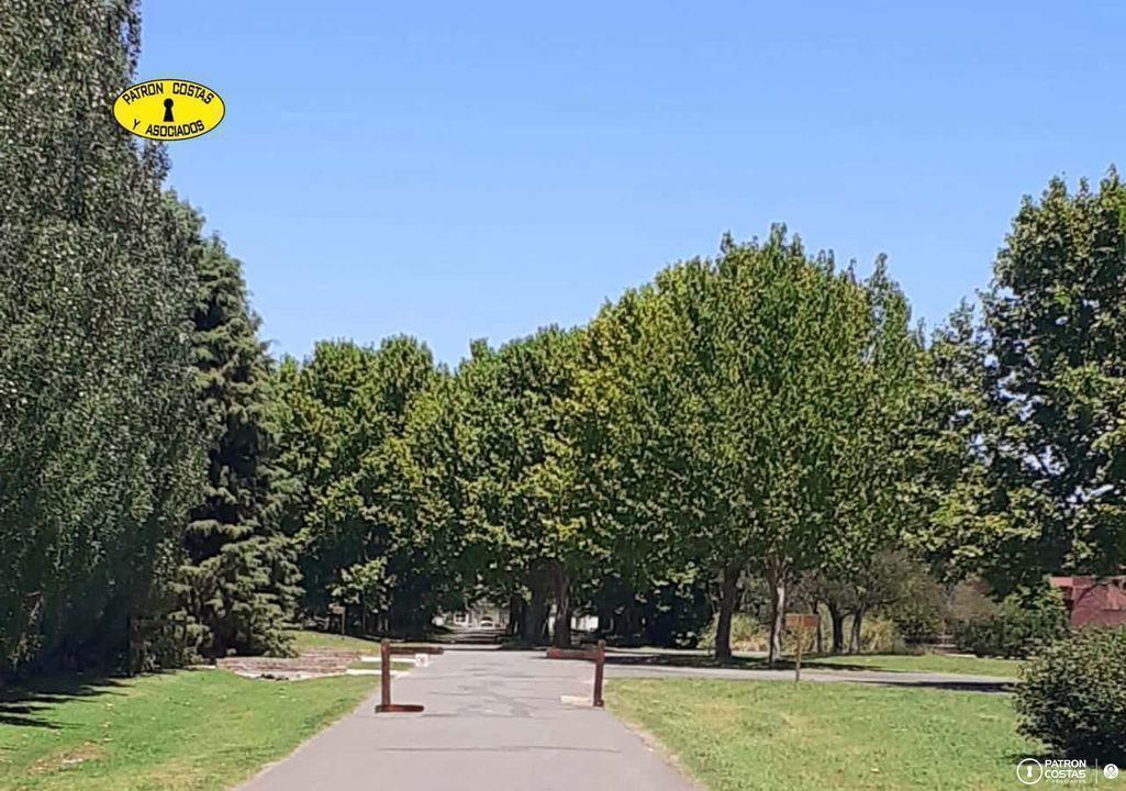 Foto de LA COLINA 5000 M2, imagen 3