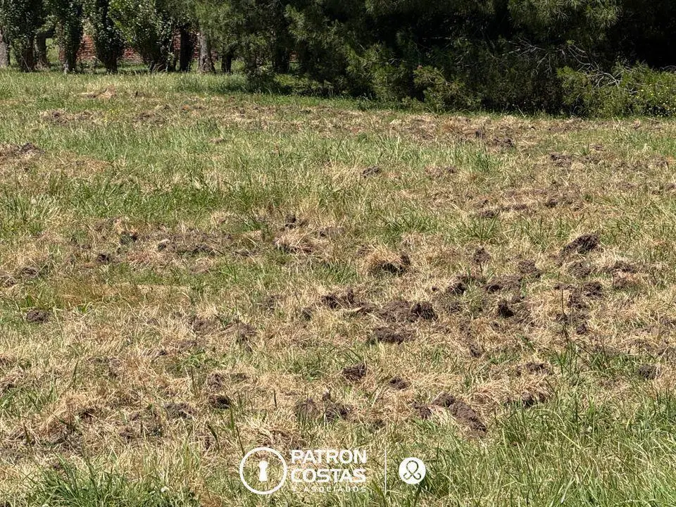 Terreno Residencial Lote en venta en La Colina 2