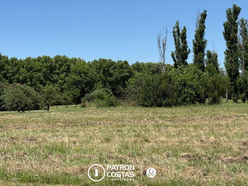 Terreno Residencial Lote en venta en La Colina