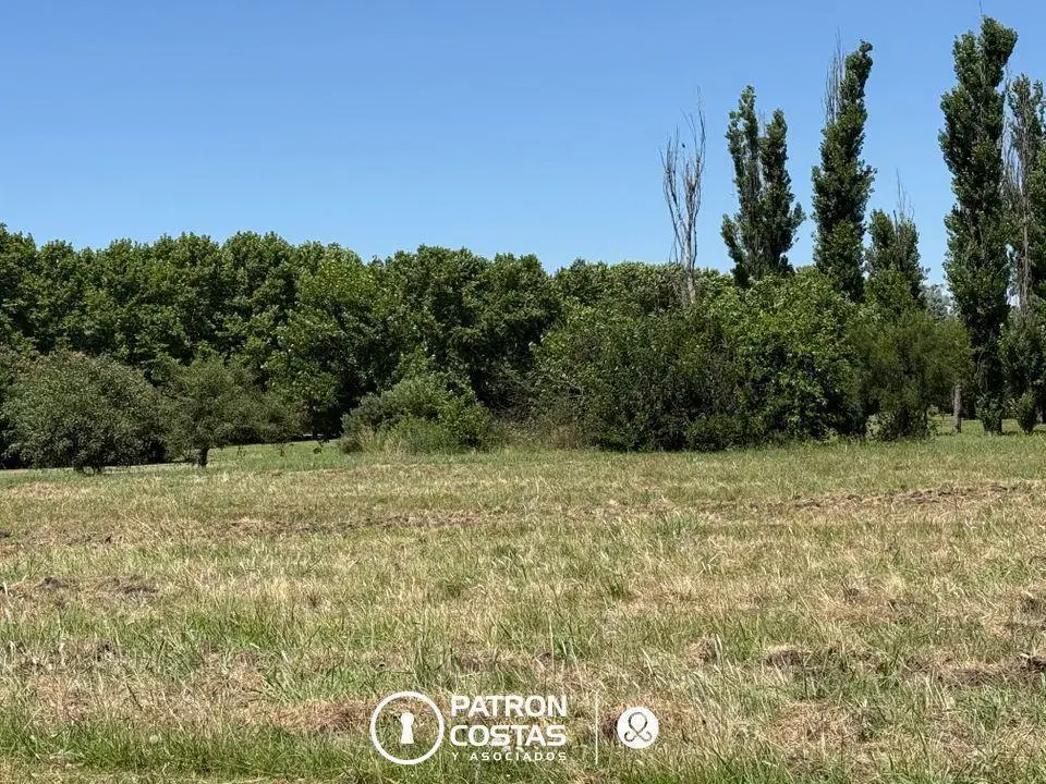 Terreno Residencial Lote en venta en La Colina 5