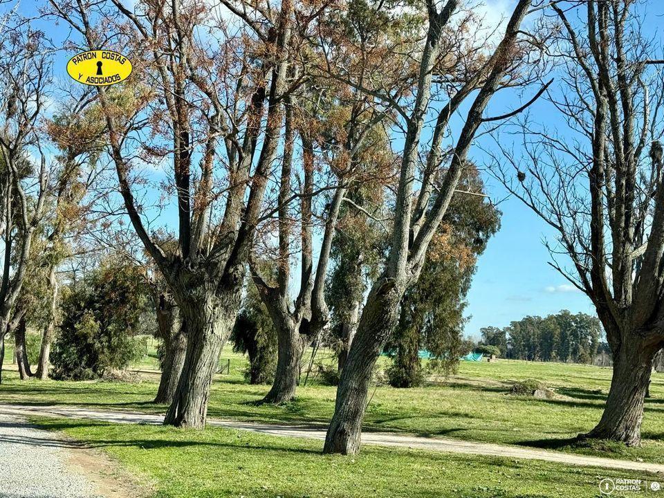 Foto de Terreno Residencial en venta en La asuncion, imagen 5