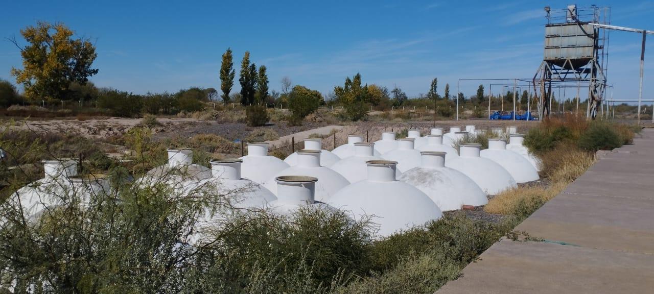 Foto de Venta Planta Industrial Olivicola y Fruticola, imagen 5