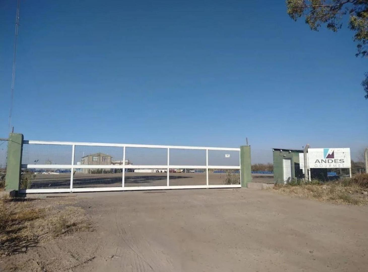 Foto de Venta Planta Industrial Olivicola y Fruticola, imagen 2