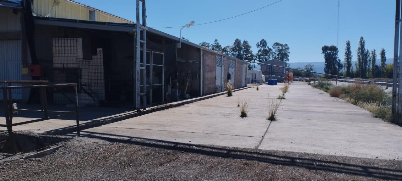 Foto de Venta Planta Industrial Olivicola y Fruticola, imagen 3