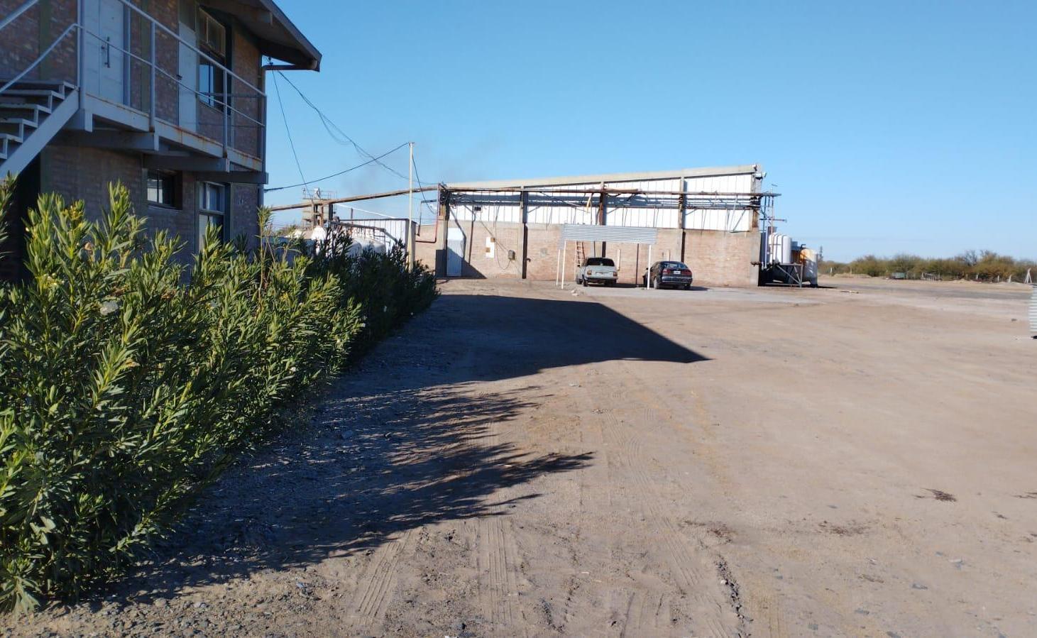 Foto de Venta Planta Industrial Olivicola y Fruticola, imagen 4