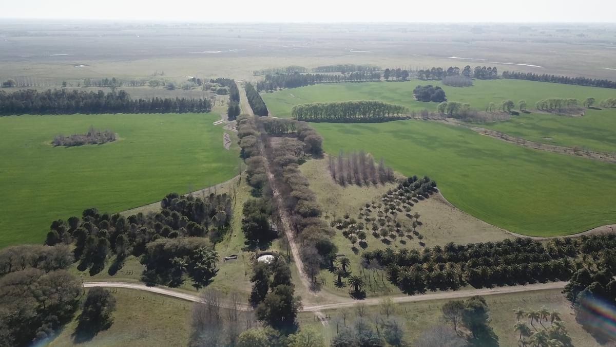 Campo - Baradero 1