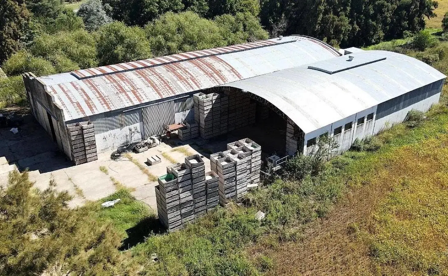 Campo - Atucha 5