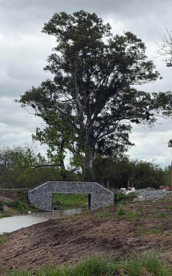 Foto de Excelente lote en la zona mas alta del barrio con fondo a espacio verde, imagen 4