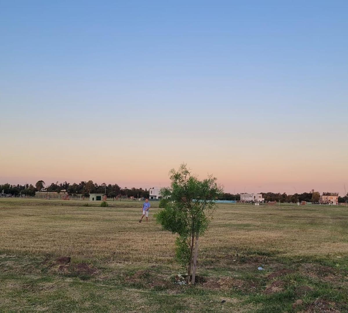 Venta Lote en Village Joven 2