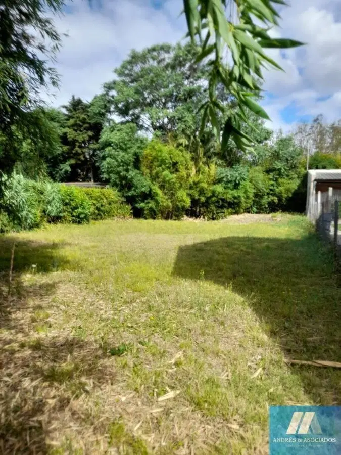 Lotes en Venta, Bella Vista 3