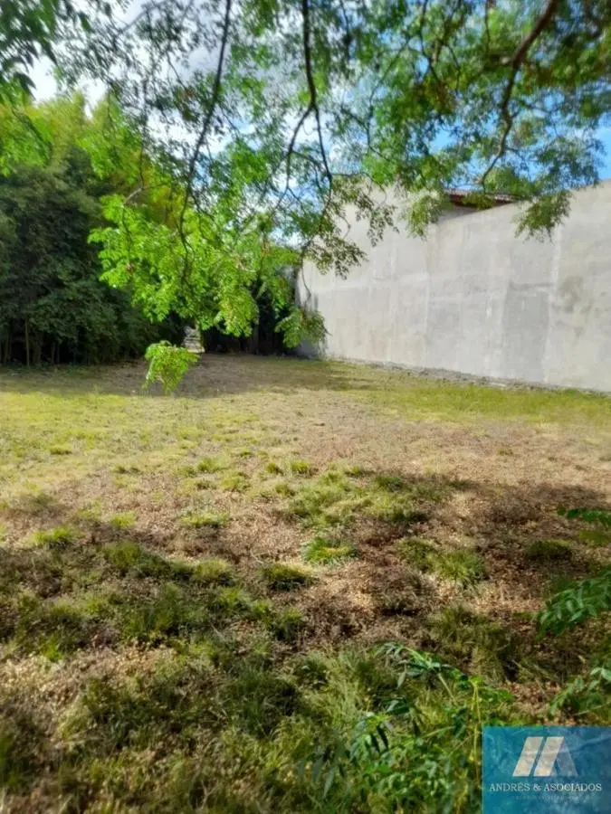 Lotes en Venta, Bella Vista 4