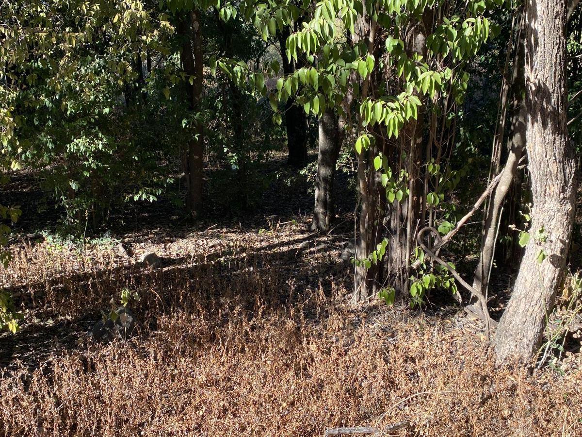 Venta Terreno en Loma del Cigarral - Unquillo 5