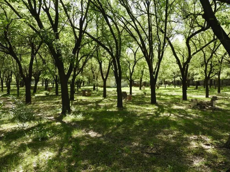Venta Terreno 10.530 mts - Rio Ceballos IDEAL INVERSORES! 5