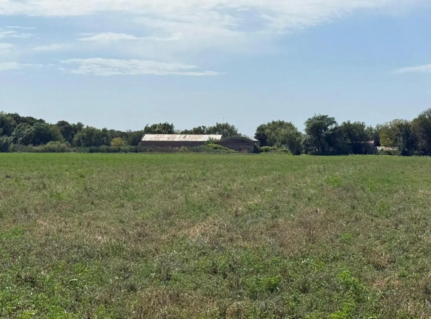 VENTA Terreno 17 Hectáreas - Cno. San Carlos - Córdoba 5