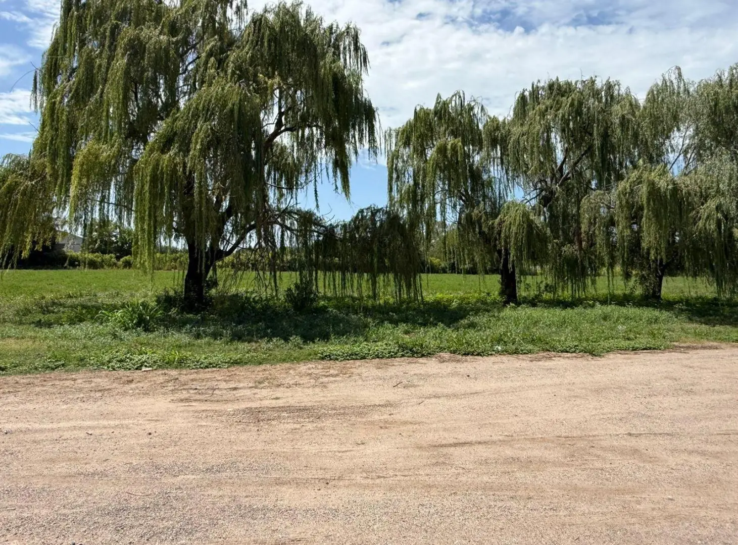 VENTA Terreno 17 Hectáreas - Cno. San Carlos - Córdoba 1