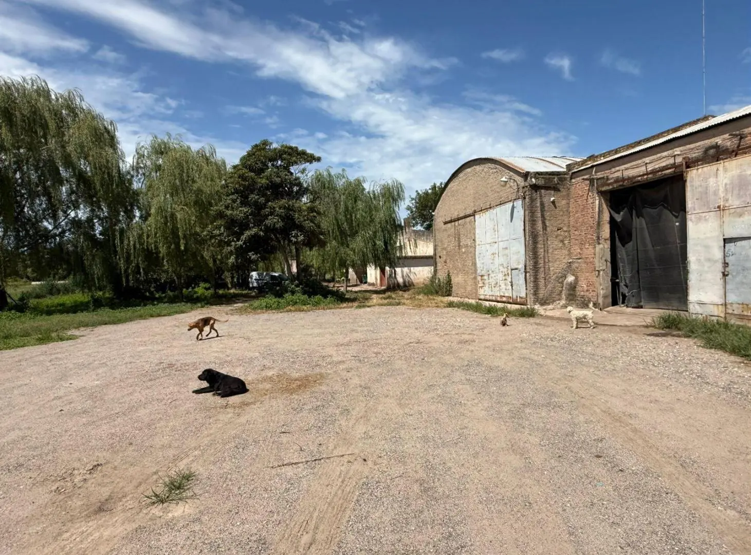 VENTA Terreno 17 Hectáreas - Cno. San Carlos - Córdoba 8