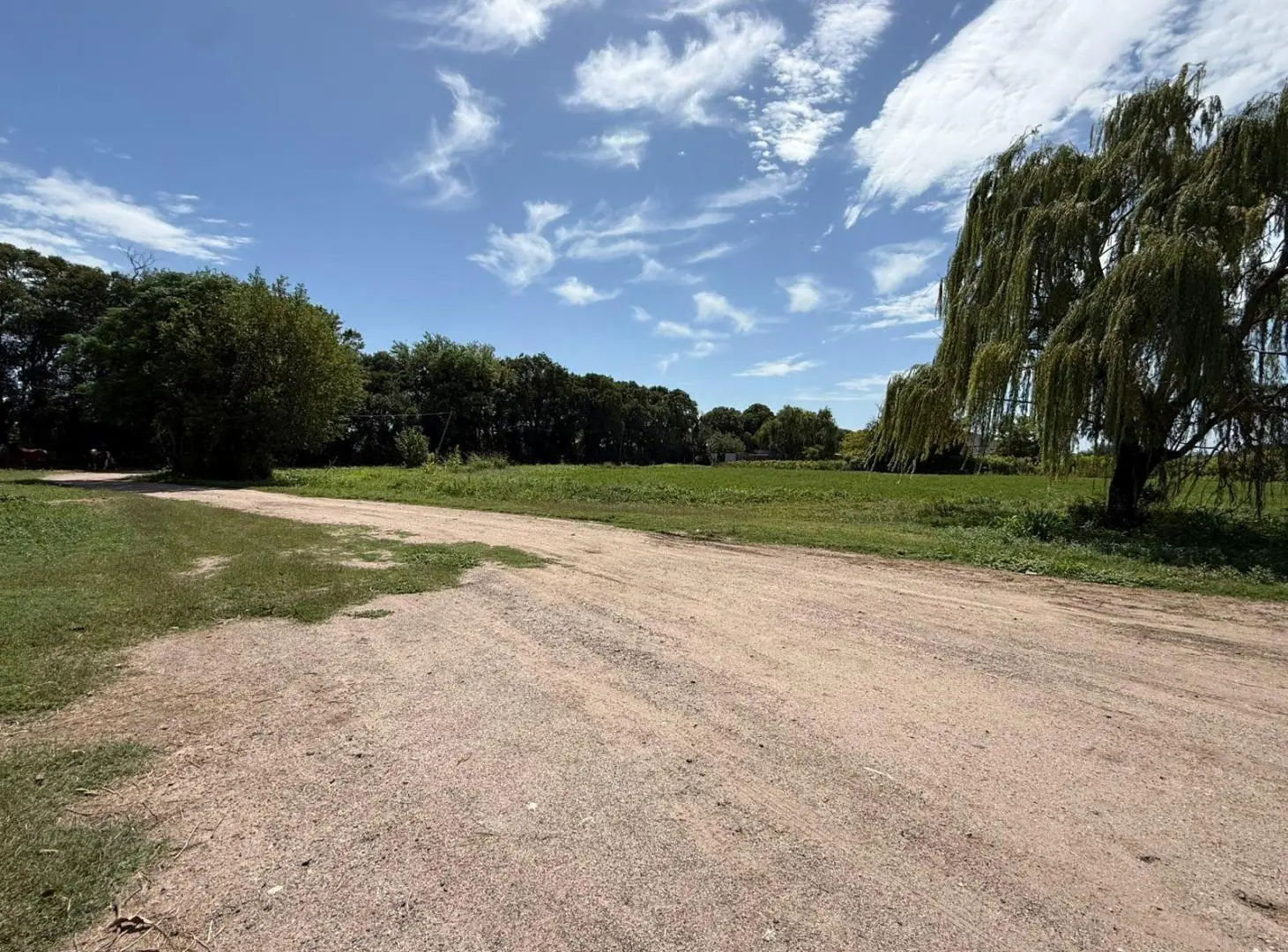 VENTA Terreno 17 Hectáreas - Cno. San Carlos - Córdoba 3