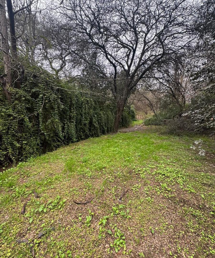 Foto de Venta de Terreno en Villa Walrcalde apto duplex, imagen 4