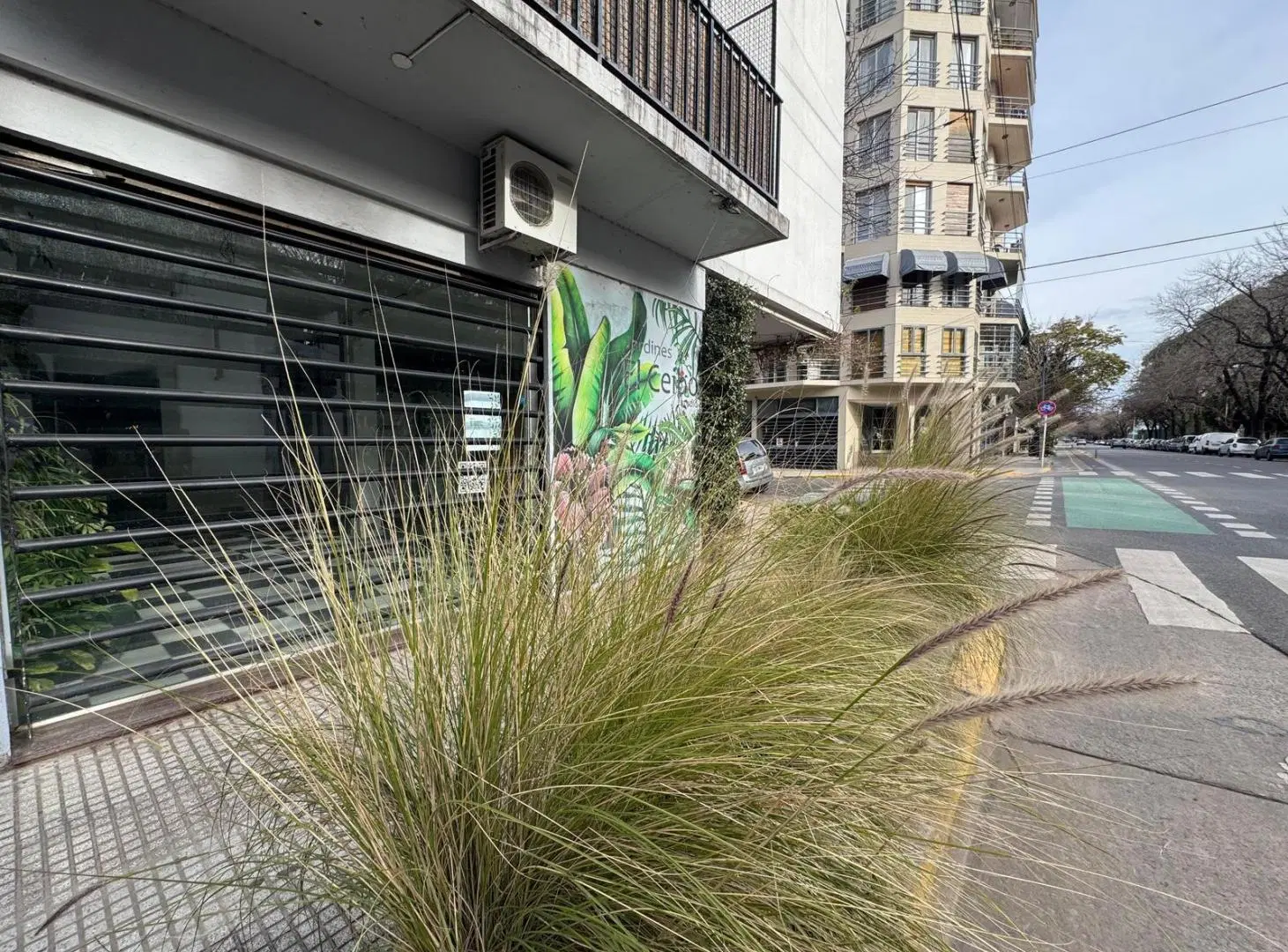 LOCAL COMERCIAL EN ESQUINA 73 m2 frente. S/Monroe a mts Av. F. Alcorta. Belgrano. 3