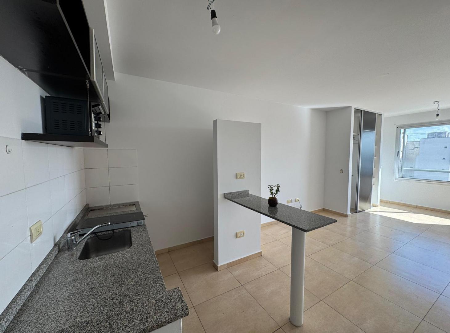 Foto de DEPARTAMENTO MONOAMBIENTE AMPLIO. SOL. VILLA PUEYRREDON, imagen 2