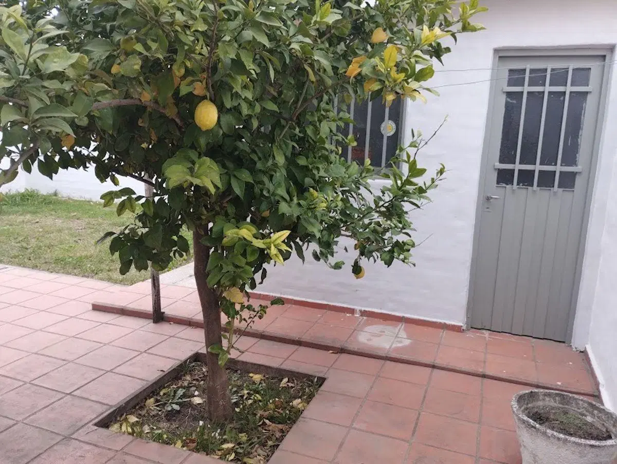 VENDO EXCELENTE CASA PB Y DEPARTAMENTO PA INGRESO INDEP. DE 3 DORM C/U -COCH./2 POETA LUGONES 5