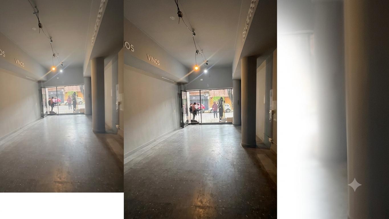 Foto de LOCAL COMERCIAL CENTRO ROSARIO, imagen 3