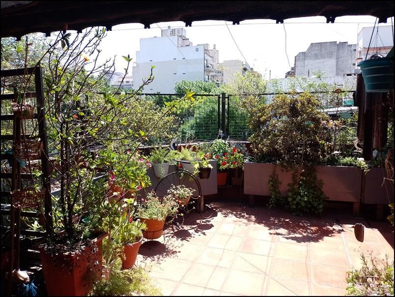Venta Extraordinario PH 171 m² en 1er Piso Único Sin Expensas 5