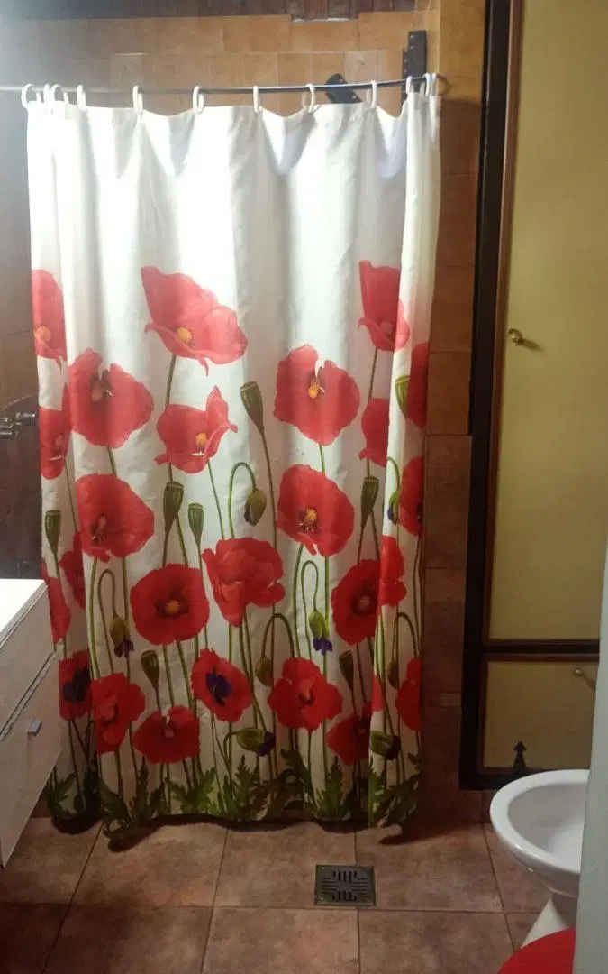 CASA EN LOTE PROPIO CON COCHERA Y QUINCHO EN EL FONDO 3