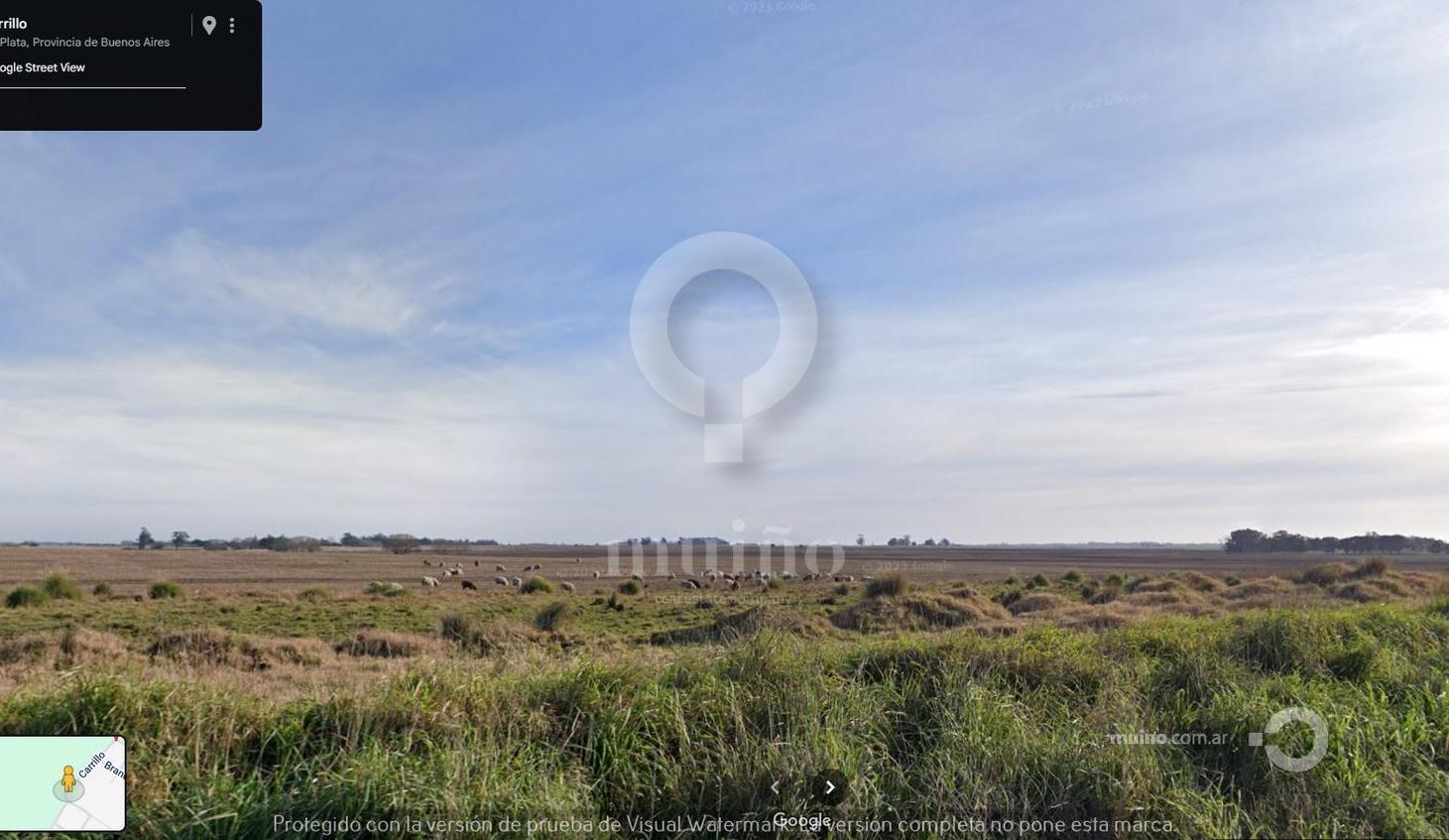 Foto de Campo en Ruta 226, imagen 1
