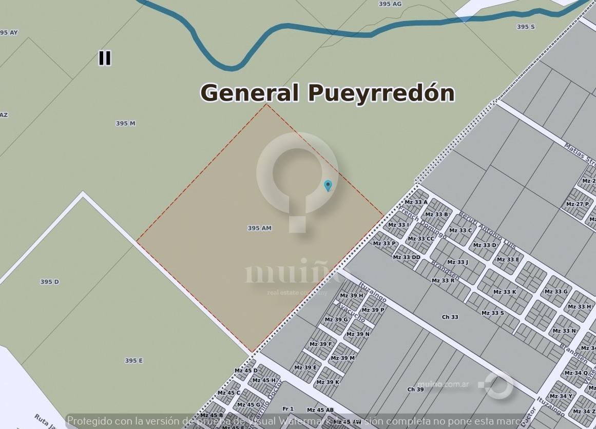 Foto de Campo en Ruta 226, imagen 3