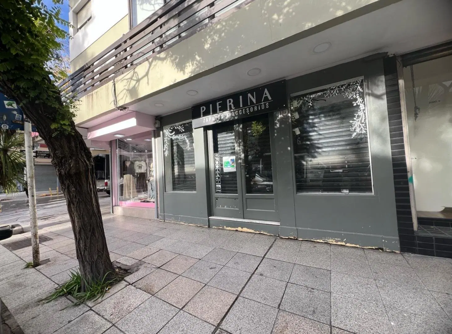 Local en Centro 2