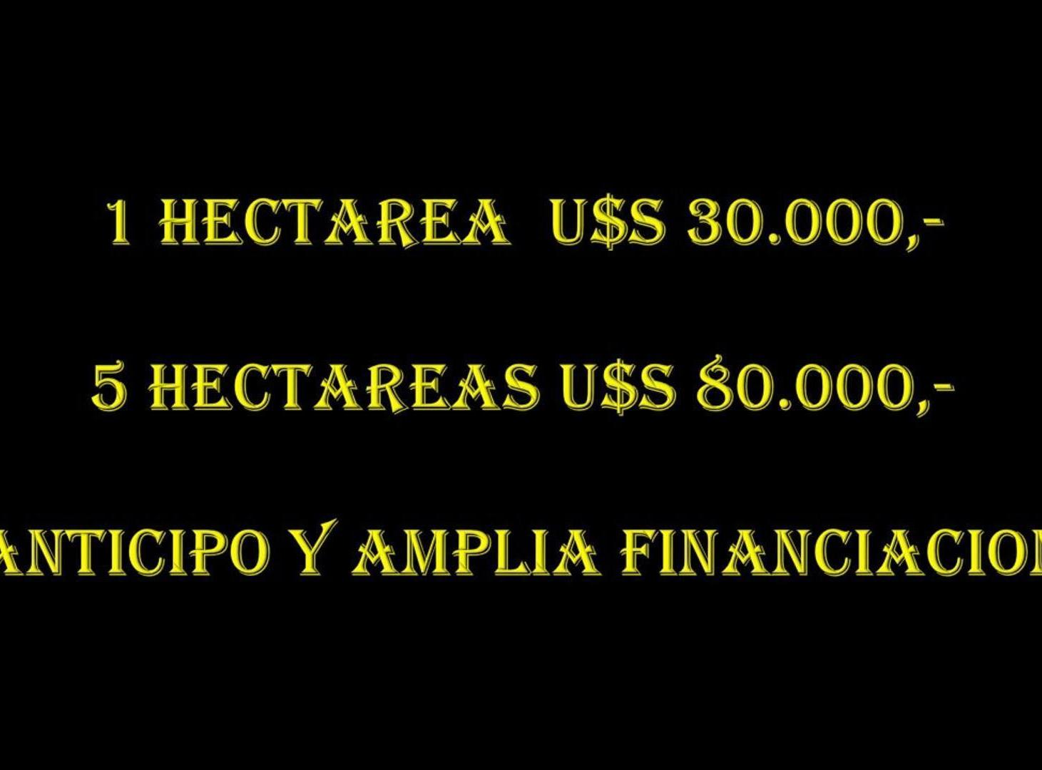 Foto de LOTES Y FINCAS DE 5 HECTAREAS EN URBANIZACION VACA MUERTA, imagen 4