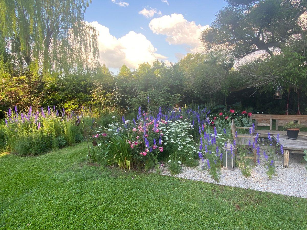 Foto de Muy linda casa al parque central, imagen 5
