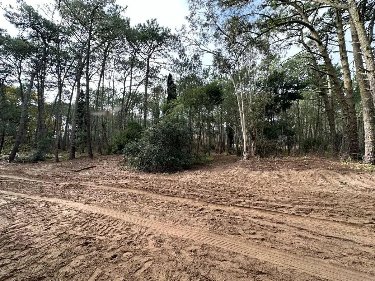 Terreno en Carilo 3