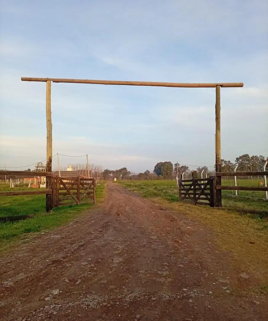 LOTES EN VENTA | LAS ACACIAS | PONTEVEDRA 8