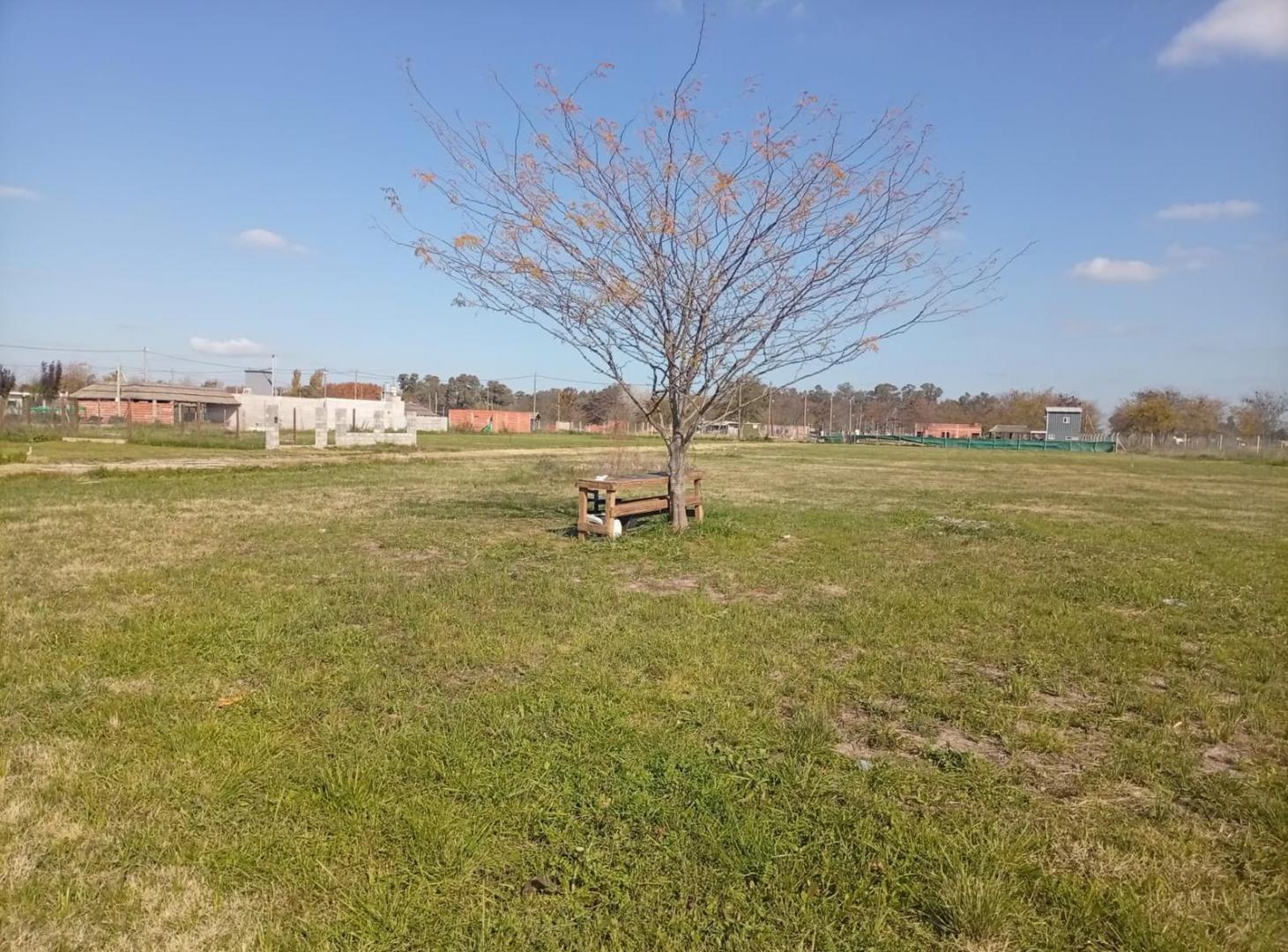 Foto de AYRES VERDES | LOTES EN VENTA EN PONTEVEDRA, imagen 5