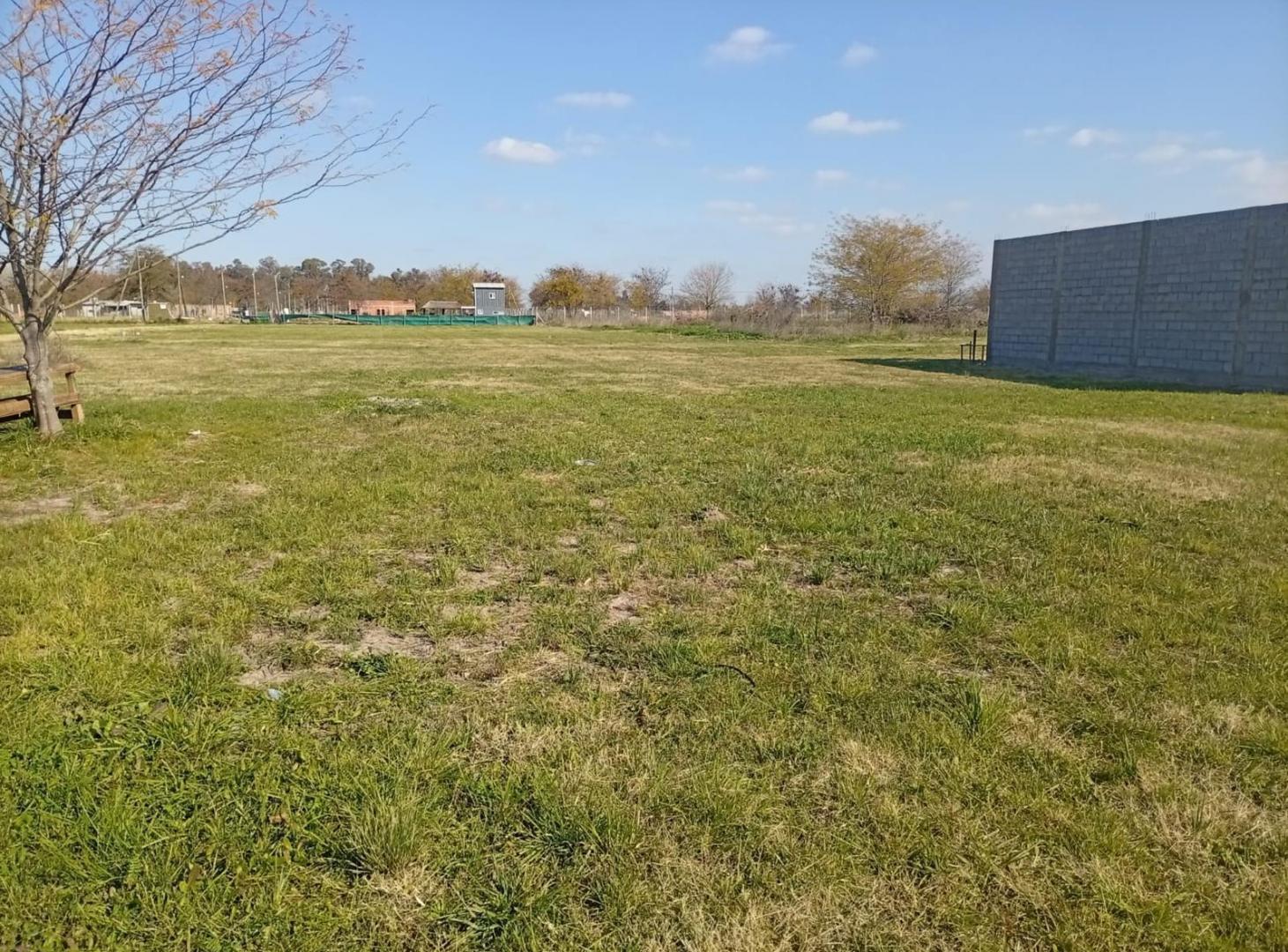 Foto de AYRES VERDES | LOTES EN VENTA EN PONTEVEDRA, imagen 4