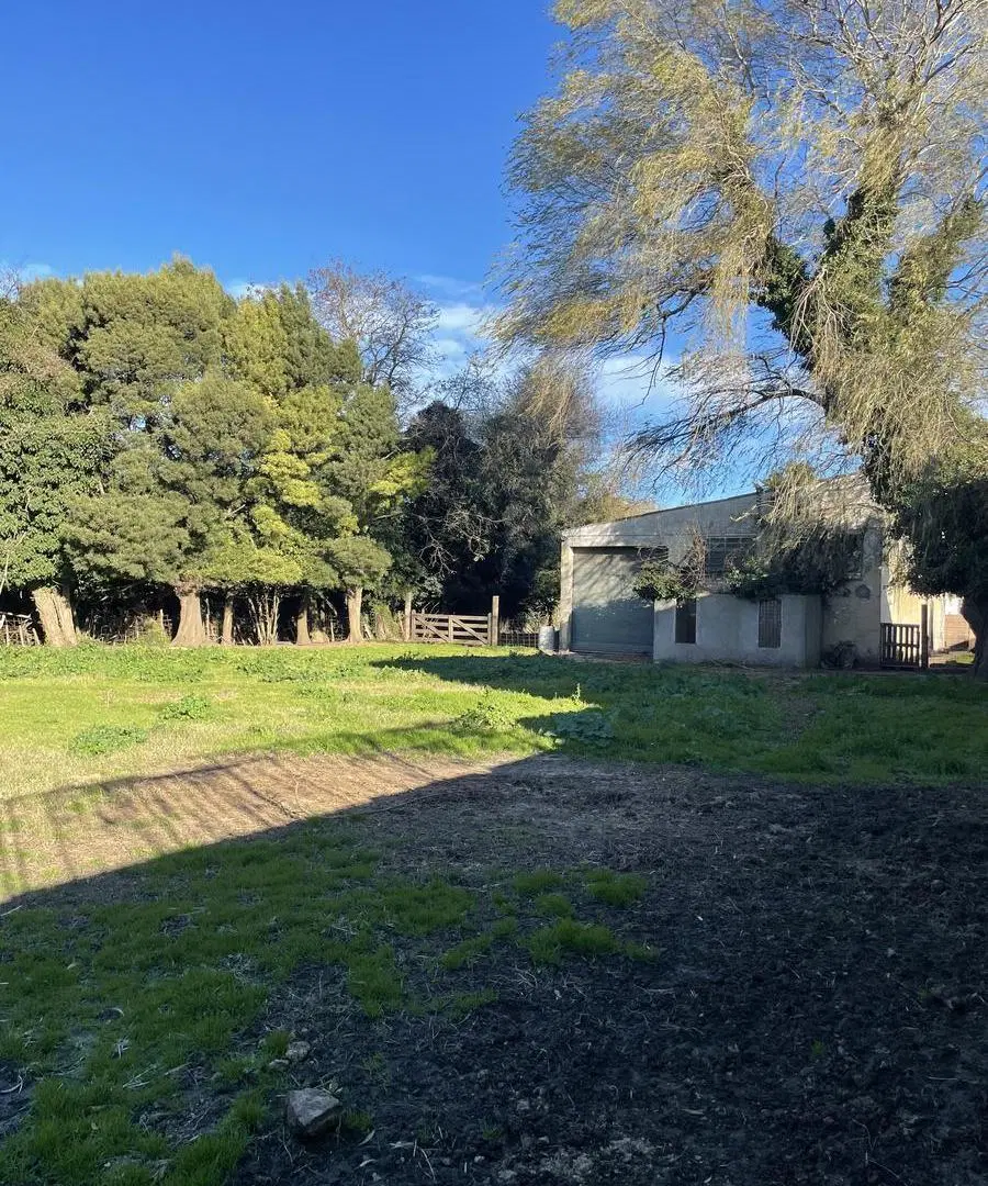 VENTA | TERRENO INDUSTRIAL 2 de 3200 M2 |Con GALPÓN| RUTA 88| ESCUCHA OFERTAS|MAR DEL PLATA 2