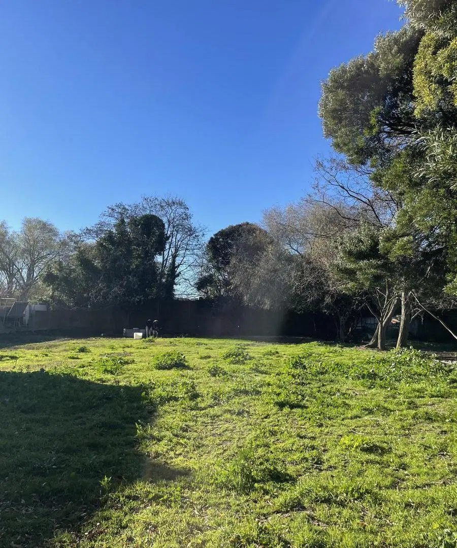 VENTA | TERRENO INDUSTRIAL 2 de 3200 M2 |Con GALPÓN| RUTA 88| ESCUCHA OFERTAS|MAR DEL PLATA 1
