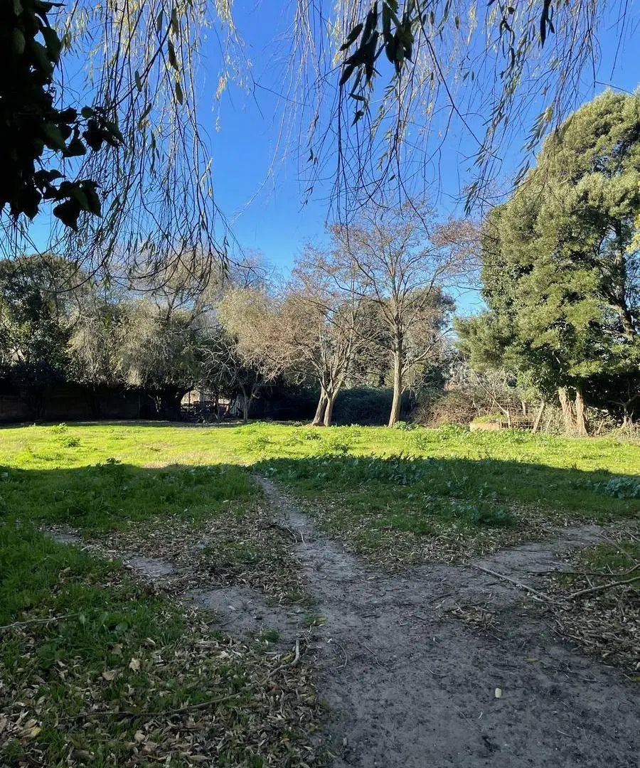 VENTA | TERRENO INDUSTRIAL 2 de 3200 M2 |Con GALPÓN| RUTA 88| ESCUCHA OFERTAS|MAR DEL PLATA 3