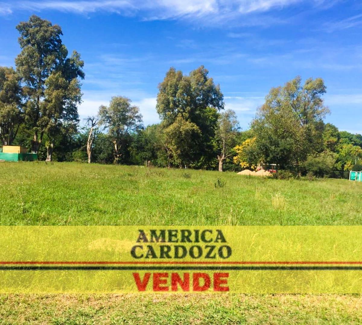 Foto de 4 TERRENOS JUNTOS 1612 m2 aprox, FRANCISCO ALVAREZ, MORENO, imagen 2