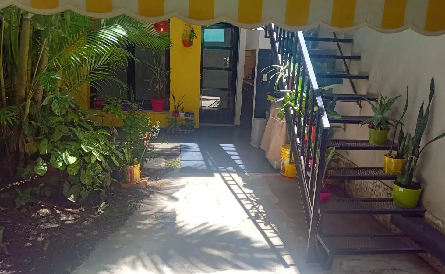 Departamento planta baja tipo casa venta Echesortu 2/3 dormitorios baños patios cochera 2