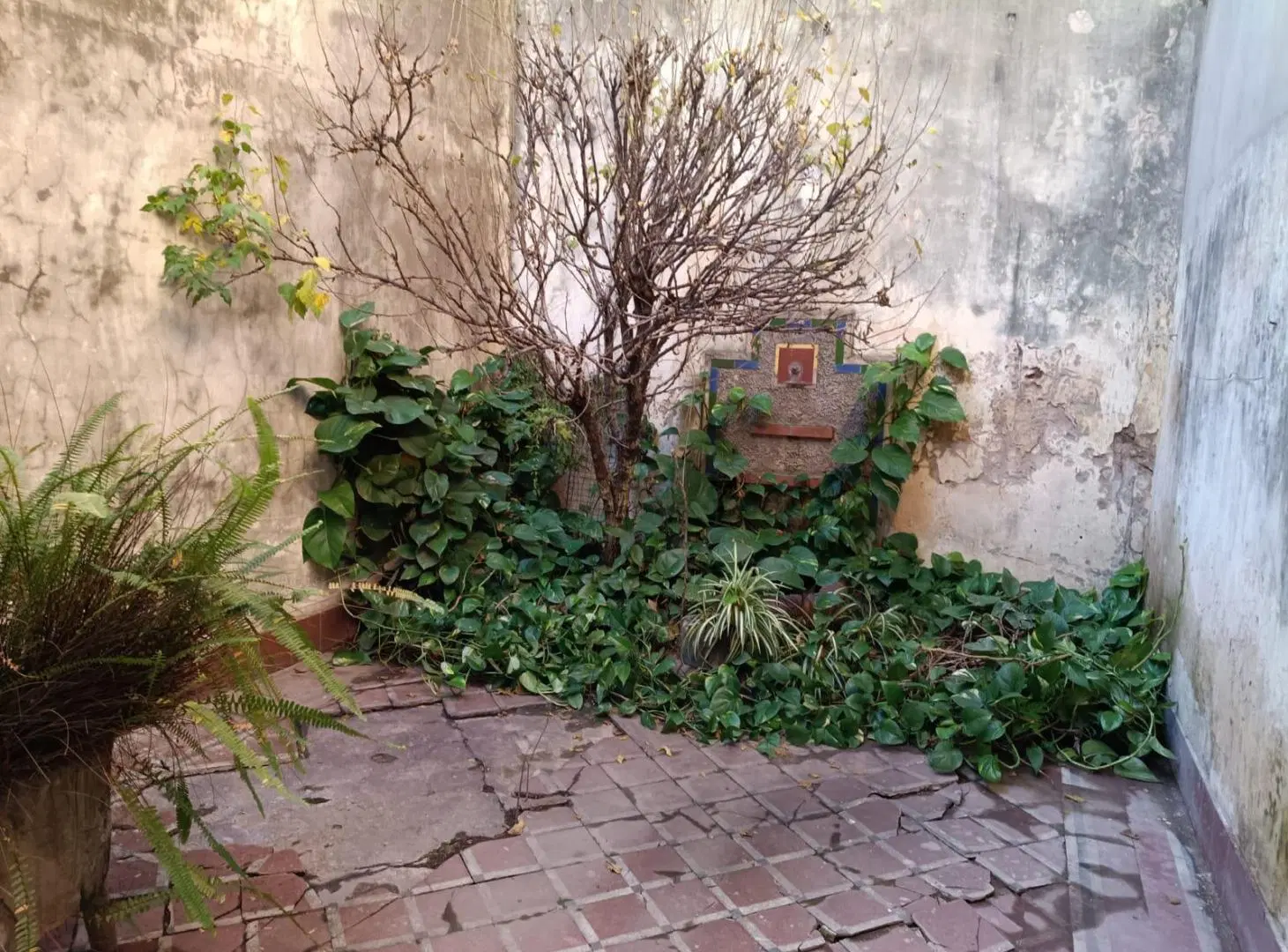 CASA DE ESTILO A RECICLAR EN BARRIO LOURDES – 176 m² – Gran Potencial, Cochera y Terraza 2